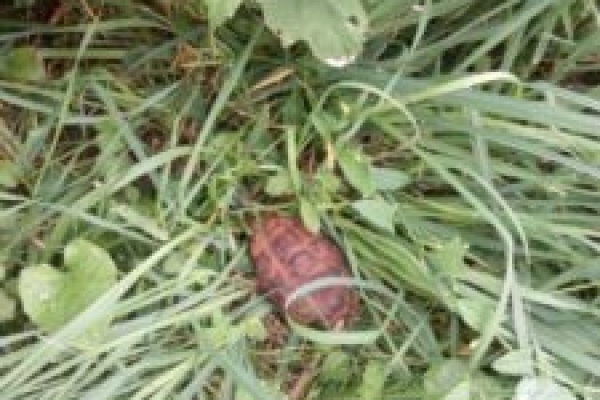 Друга Світова війна досі дає про себе знати в Тернополі