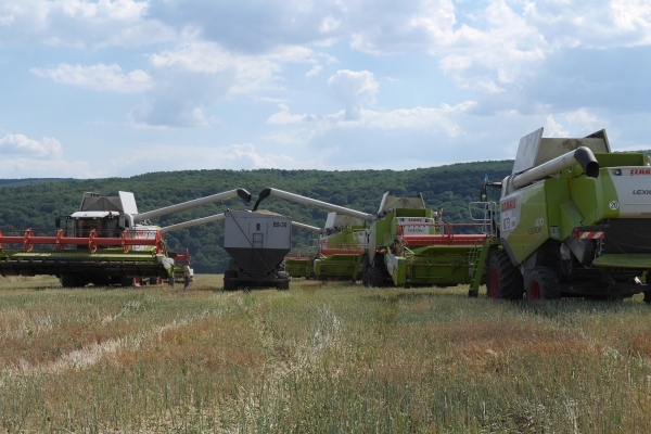 Агрохолдинг «МРІЯ» завершив збирати озимий ріпак