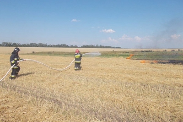 Через невідомого ледве не згоріло 200 гектарів пшениці