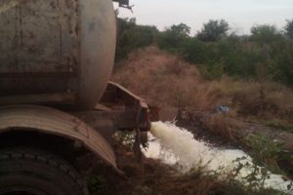 «Молокію» вкотре впіймали на підсудній діяльності