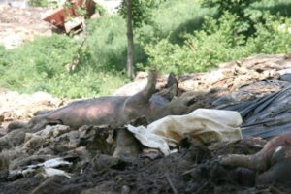 На знешкодження «екологічної бомби» біля Тернополя потрібен мільйон гривень