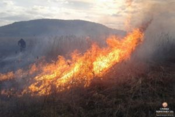 День Незалежності для рятувальників області був зовсім не святковий