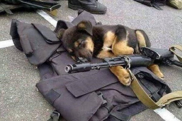 Чому здало позиції волонтерство?