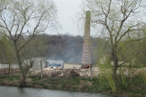 Біля Тернополя планують розмістити полігон для захоронення мертвої худоби
