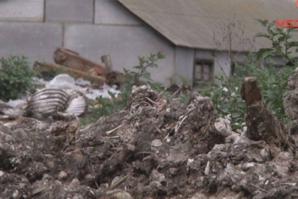 Під Тернополем збудують саркофаг для рештків тварин, що нині гниють просто неба