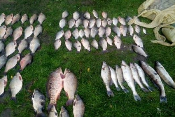 Браконьєри на Тернопільщині знахабніли