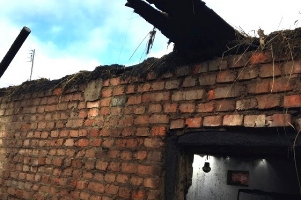 У пожежі на Тернопільщині згоріло 10 курей та 5 тон зерна