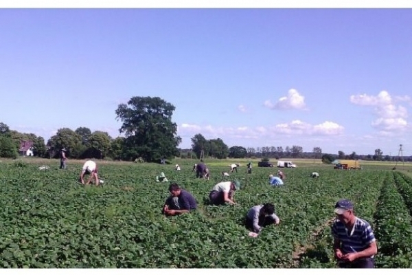 Нововведення, про які варто знати тернополянам, котрі планують працювати у Польщі