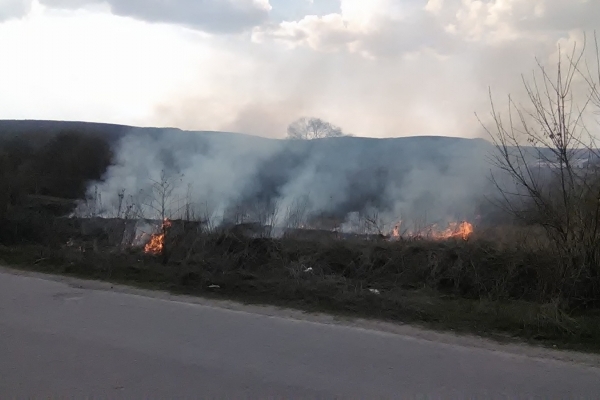 Жителів міста Бережани готують до газових атак? (Відео)