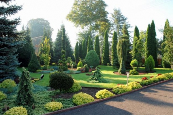 Приєднуйся: Мерія продовжує масову акцію «Тернопіль – найзеленіше місто»