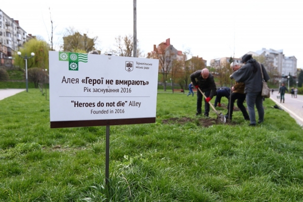 Цієї весни у Тернополі висаджено понад 4000 дерев та кущів