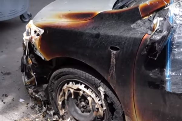 Тернопільське бидло знайшло собі нову розвагу (Відео)