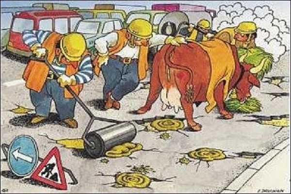 В Чорткові три підприємства «погоріли» на ремонті доріг