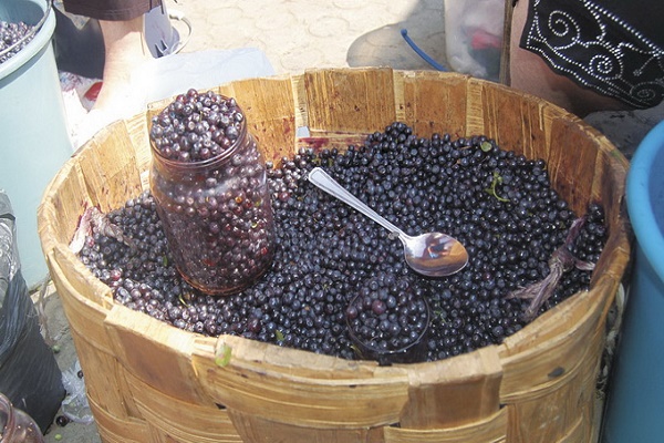 Чи безпечно їсти чорницю, яку продають на Тернопільському ринку