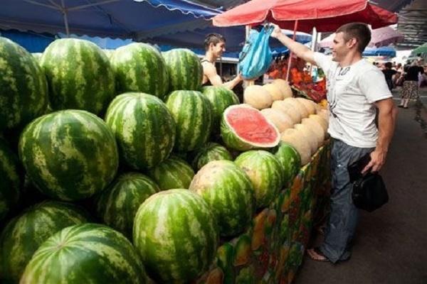 Скільки нітратів у кавунах і динях, які продають на тернопільських ринках і в супермаркетах? 