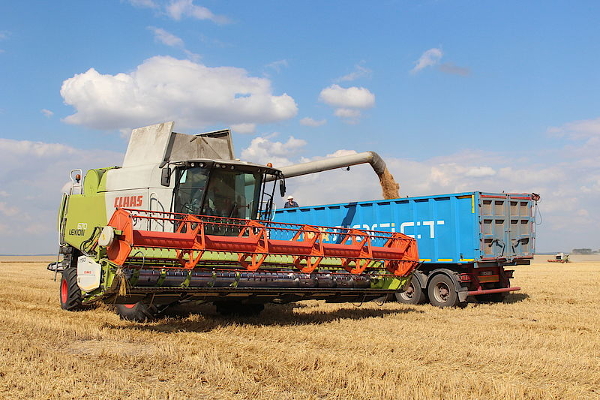 В «Мрії» завершився збір врожаю ранніх зернових