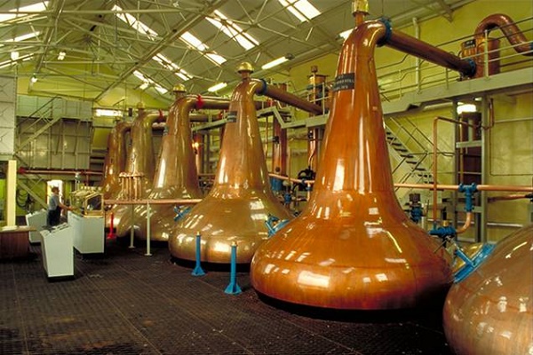 На Тернопільщині будуть виробляти каву?