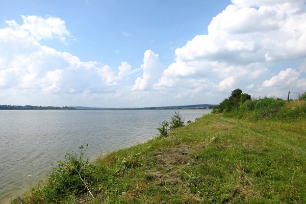 Оренду майна величезного ставка у Залізцях «оцінили» в 1200 гривень?