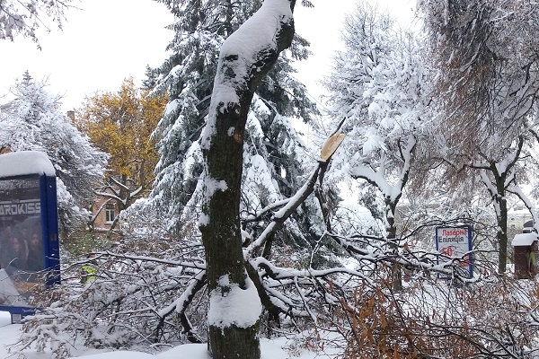Висновки науковців: Тернопіль – це аномальна кліматична зона України