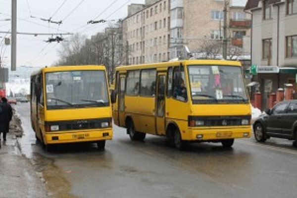 Чи будуть водії тернопільських маршруток ліпити зелені круги на лобове скло?