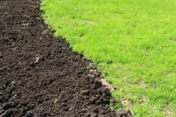 Через погоду на Тернопільщині не досіяли озимину