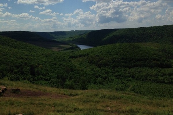 Скільки грошей отримала Тернопільщина від оренди та земельного податку?