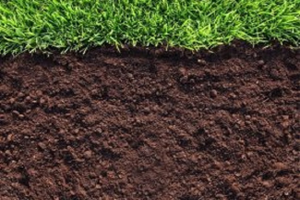 Цьогорічні рекорди Держгеокадастру Тернопільської області