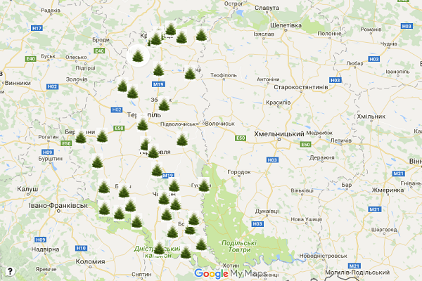Де на Тернопільщині можна купити легальну ялинку: карта