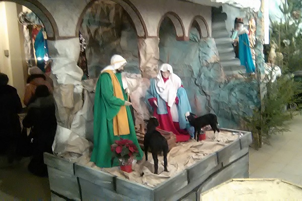 В церкві Святого Апостола Петра завершують спорудження найбільшої різдвяної шопки України (Фото)