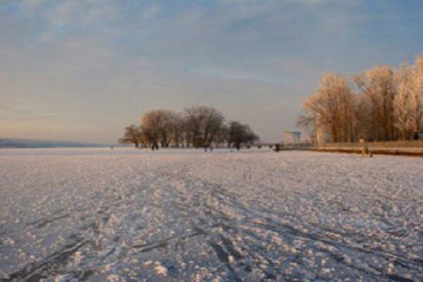 Екологи попереджають, що Тернопільському ставу загрожує небезпека