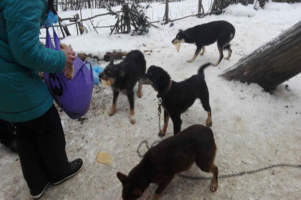 Голову ніхто не відгризав: тернопільські ЗМІ роздули сенсацію з нічого
