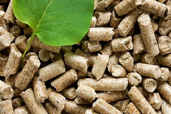 Як тернопільський 