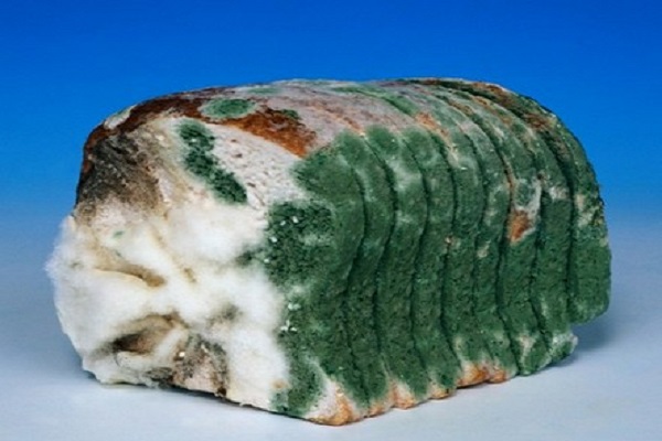 Тернопільський 