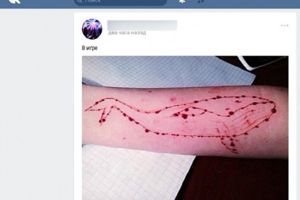 Небезпечна секта у соціальних мережах схиляє дітей до самогубства