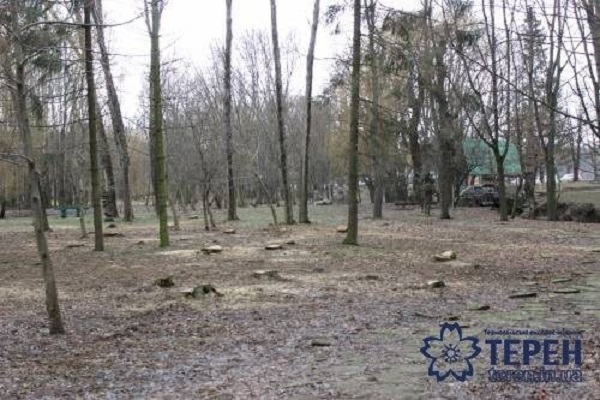В парку вирубали 30 дерев, і ніхто нічого не знає? (фото, відео)