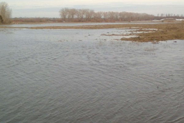 Тернопільщину затоплює (фото)