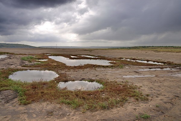На Тернопільщині забили в дзвони через обміління рік та пересихання криниць