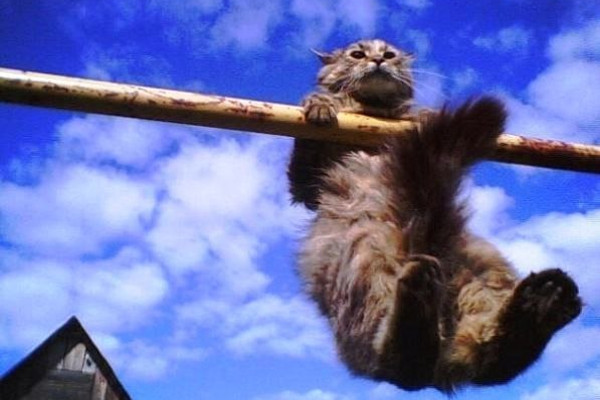 У Тернополі спортсмени тепер отримуватимуть стипендію