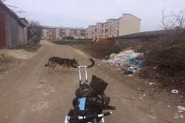 Як люди самі перетворюють життя на сміття (фото)