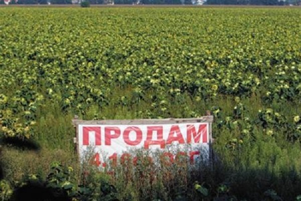 В області з-під молотка пустили 55 гектарів землі