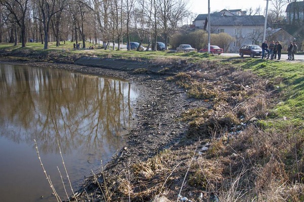 На Тернопіллі на очах зникає ставок (фото)
