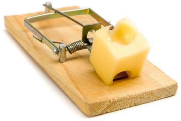 Безкоштовний сир... тільки з інтернет покупками