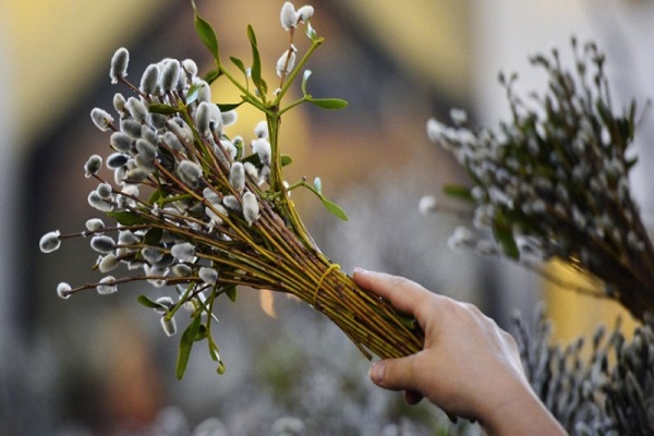 Тернополяни на повну готуються до Вербної неділі