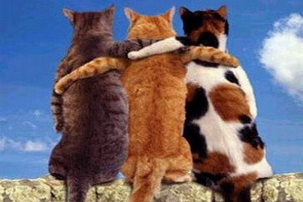 Що чекає трьох тернопільських екс-свободівців?