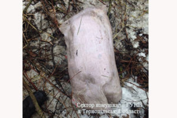 За вбивство і розчленування власної дружини тернополянину світить довічне (фото)