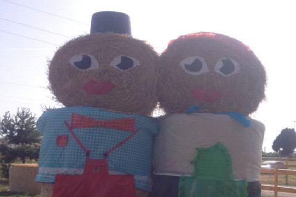 Фахівці в галузі насінництва з'їдуться на Тернопільщину