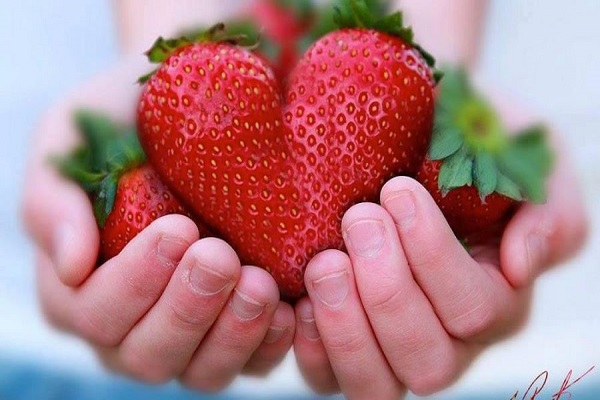 Як тернополяниам обрати першу полуницю так, щоб не зашкодити здоров'ю?