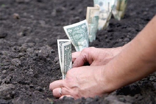 На Тернопіллі ціна на землю зросла в 4 рази