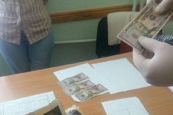 Як затримували доцентку-хабарницю (відео)