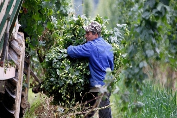 На Тернопільщині шалений дефіцит працівників